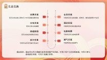 点蛇成金：链游社交+电商+零撸变现多重收益