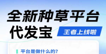 代发宝：视频种草挣钱、不剪辑、不直播