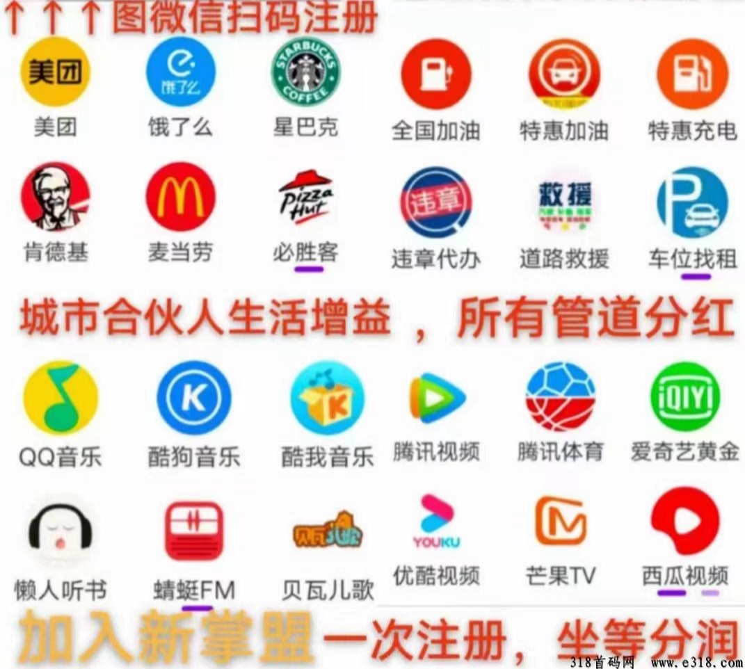 新掌盟首码，全网平台，十几个管道收益