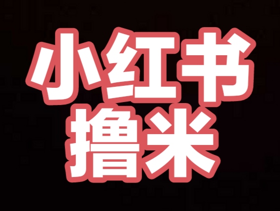 【小红书笔记】0撸，每天3条任务2.4米